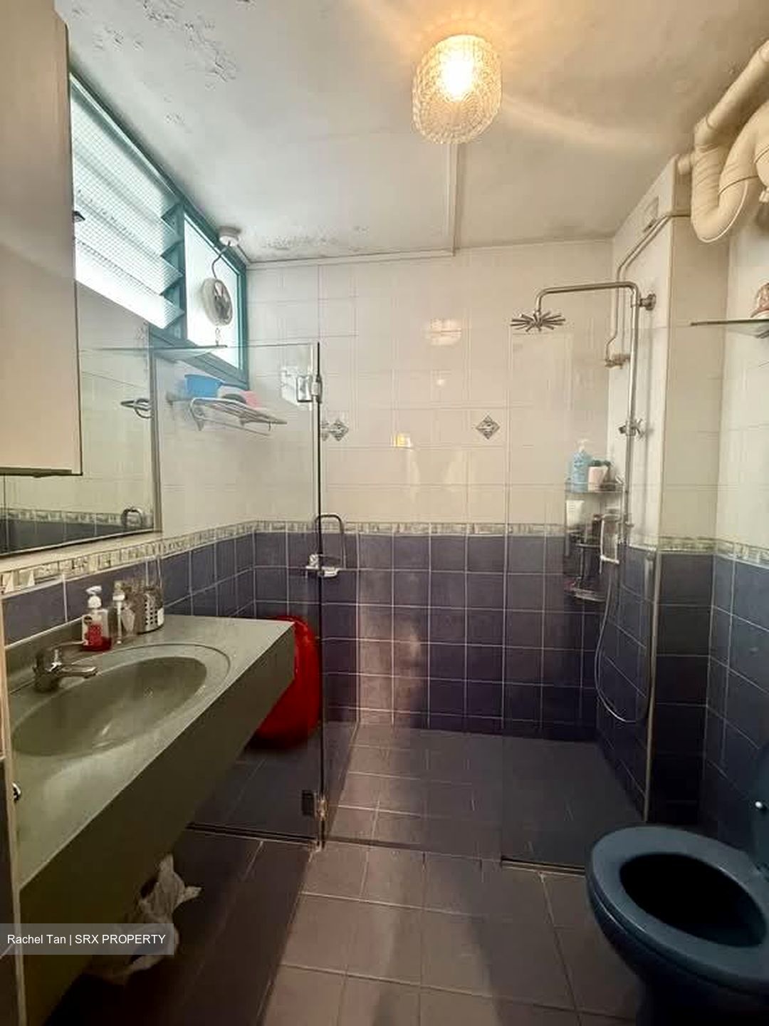 Blk 474 Segar Gardens (Bukit Panjang), HDB Executive #555623761
